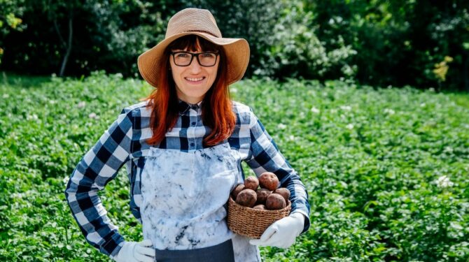 Portrait beautiful female farmer holds a potatoes in a wicker basket wearing a straw hat and surrounded by the many plants in her vegetable garden