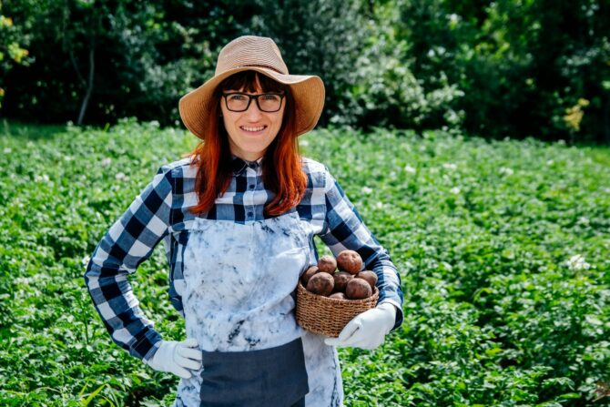 Portrait beautiful female farmer holds a potatoes in a wicker basket wearing a straw hat and surrounded by the many plants in her vegetable garden